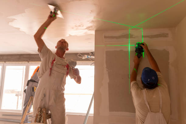 Best Mold Documentation for Insurance Claims  in Gallup, NM